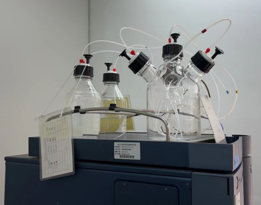 1665990352170591.png image.png